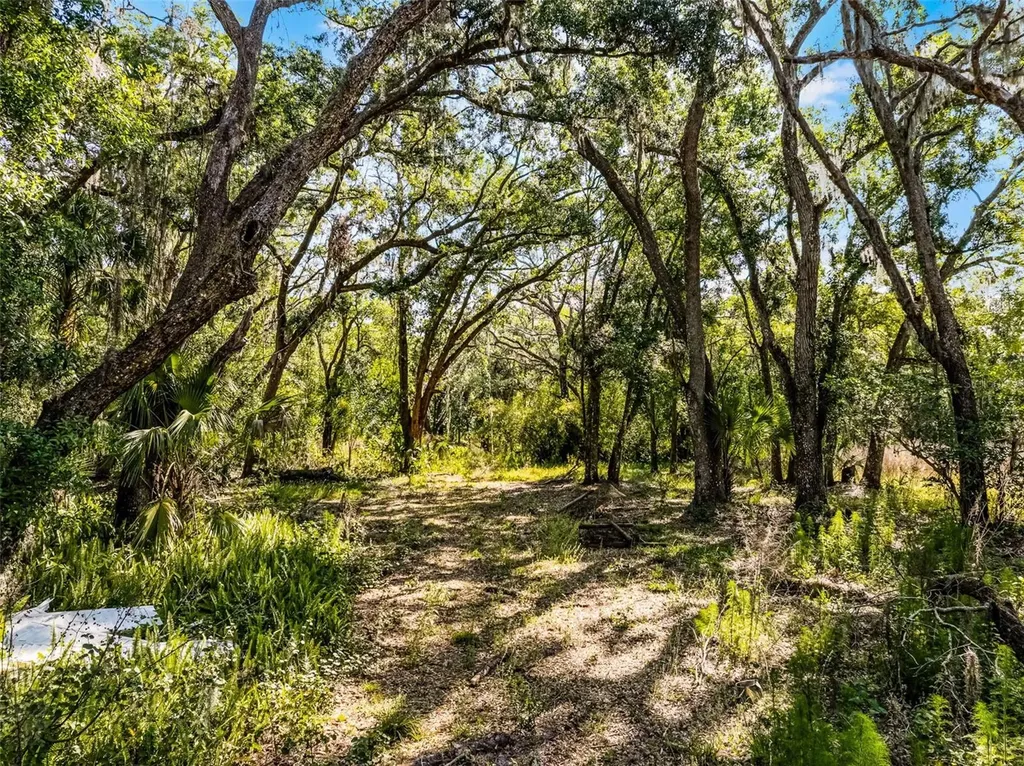 3633 Panther Path Road Lutz FL 33559