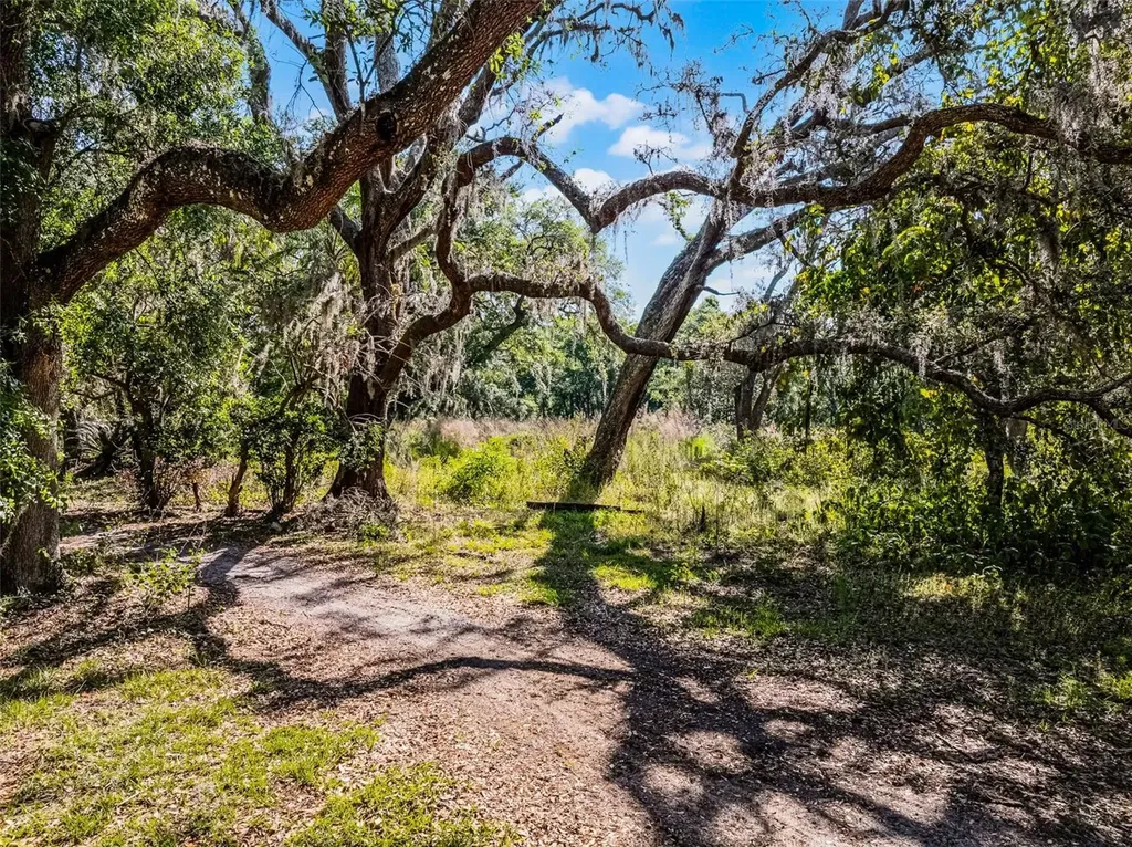 3633 Panther Path Road Lutz FL 33559