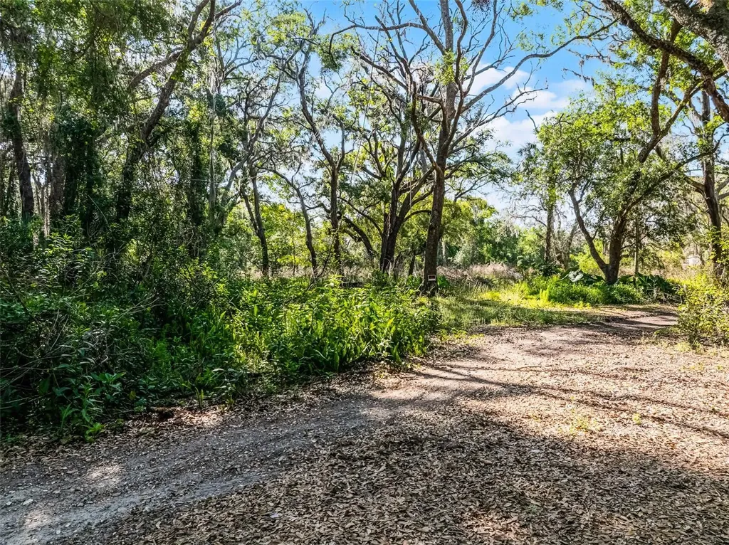 3633 Panther Path Road Lutz FL 33559