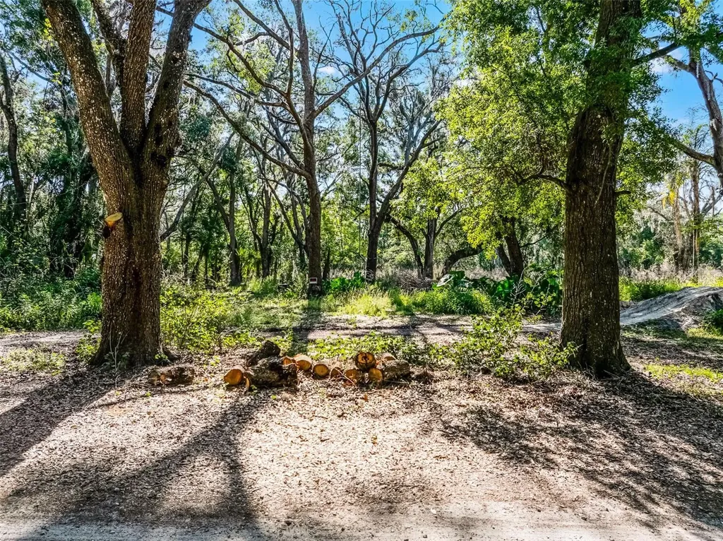 3633 Panther Path Road Lutz FL 33559