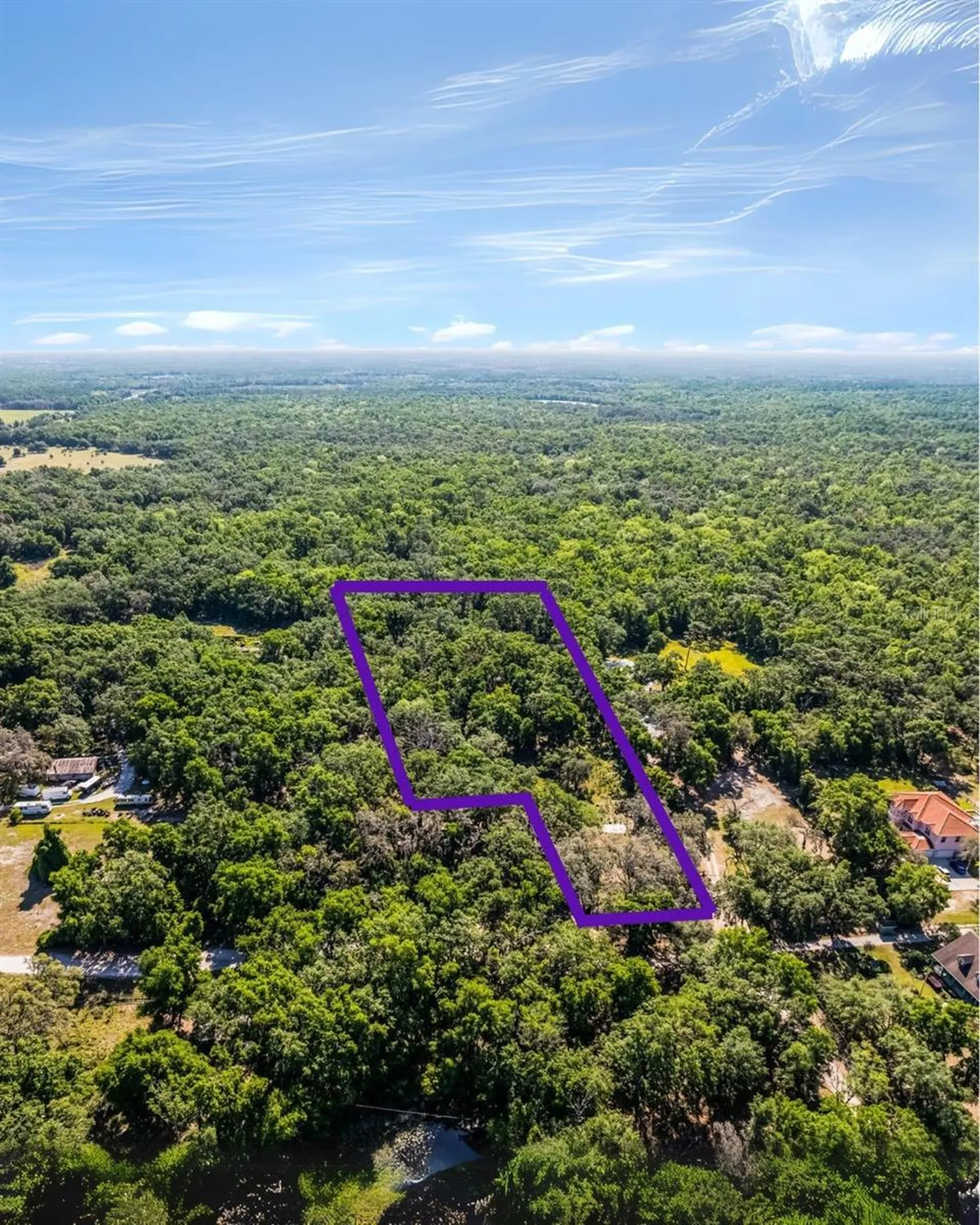 3633 Panther Path Road Lutz FL 33559