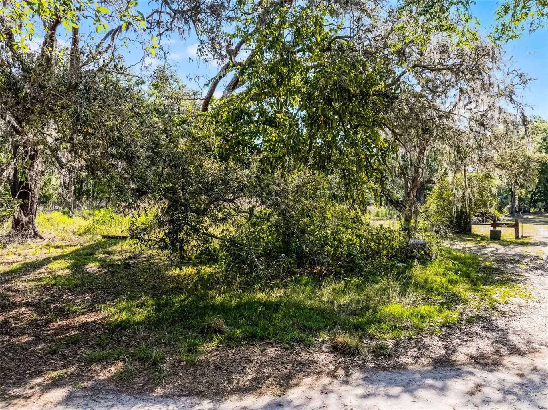 3633 Panther Path Road Lutz FL 33559