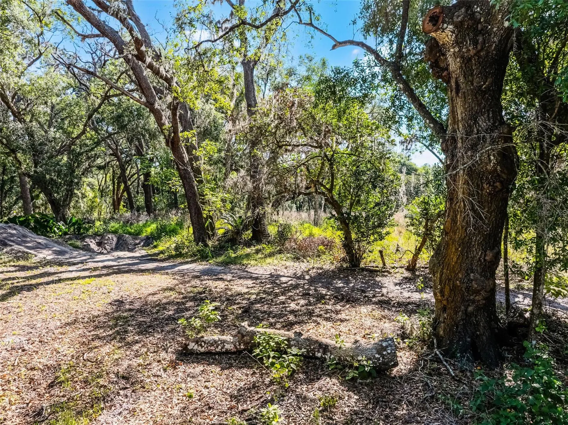 3633 Panther Path Road Lutz FL 33559