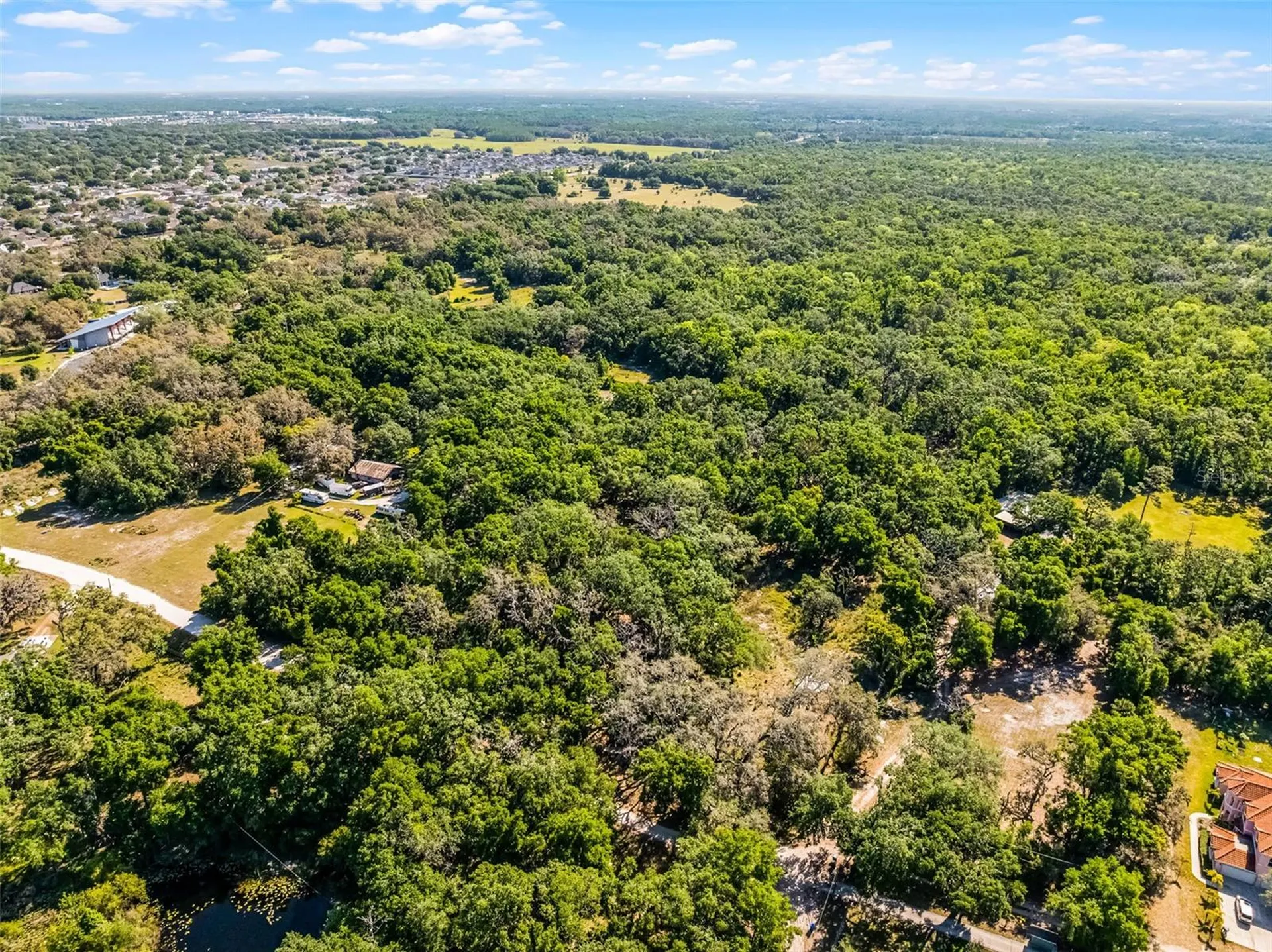 3633 Panther Path Road Lutz FL 33559