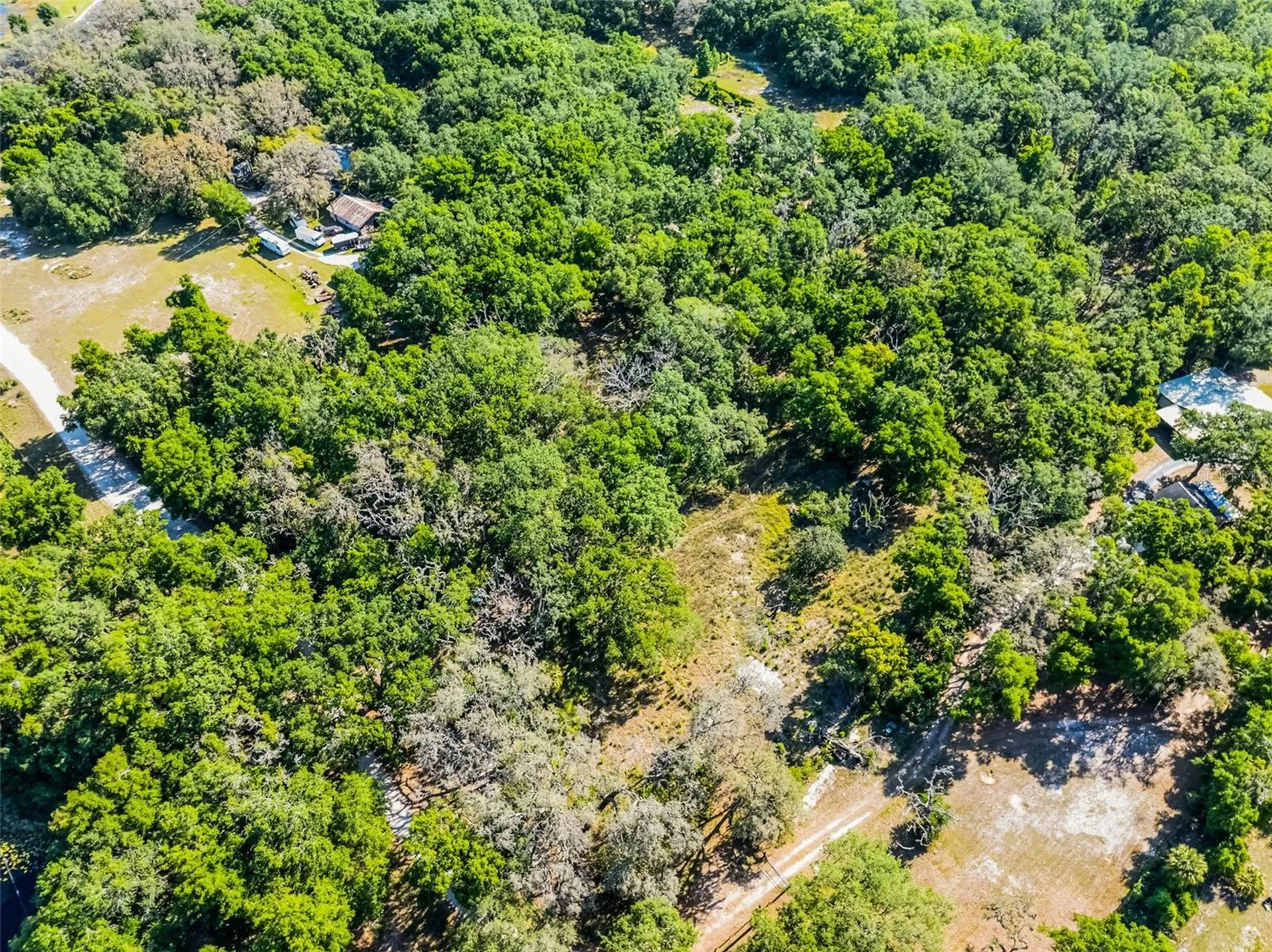 3633 Panther Path Road Lutz FL 33559