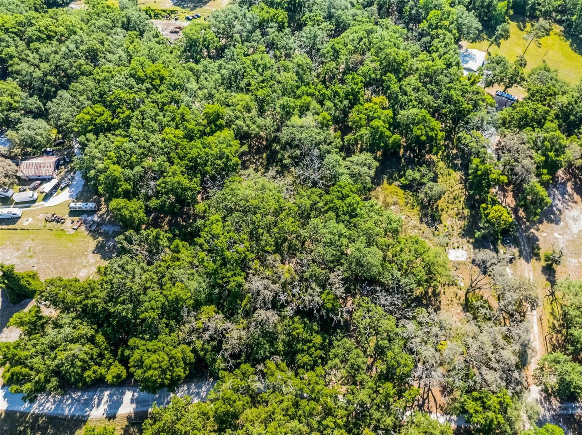 3633 Panther Path Road Lutz FL 33559