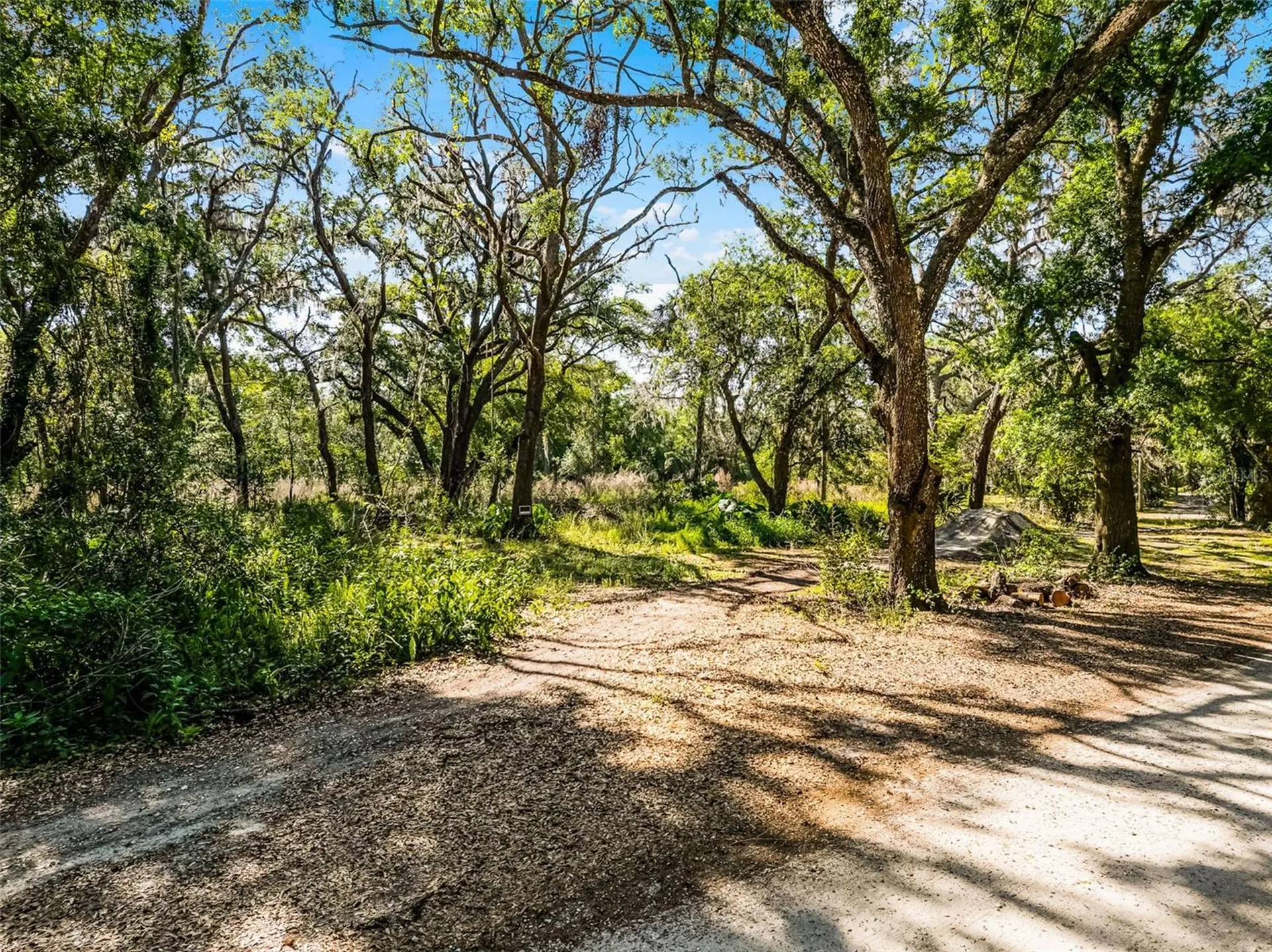 3633 Panther Path Road Lutz FL 33559