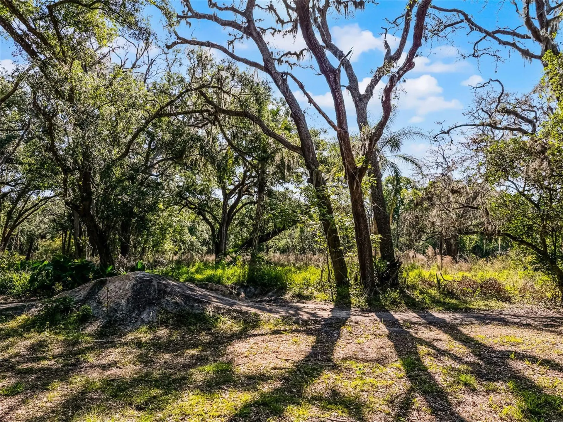 3633 Panther Path Road Lutz FL 33559