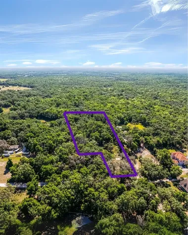 3633 Panther Path Road Lutz FL 33559