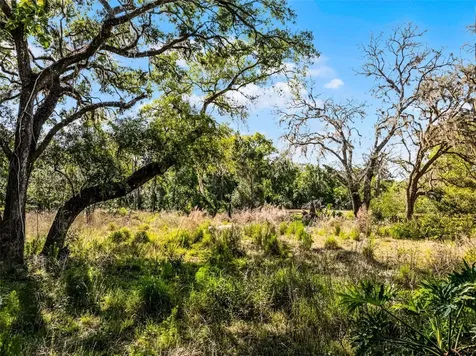 3633 Panther Path Road Lutz FL 33559