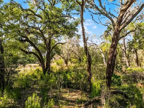 3633 Panther Path Road Lutz FL 33559