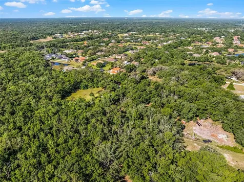 3633 Panther Path Road Lutz FL 33559