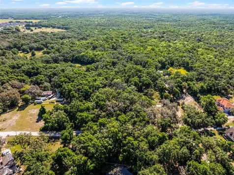3633 Panther Path Road Lutz FL 33559