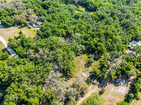 3633 Panther Path Road Lutz FL 33559