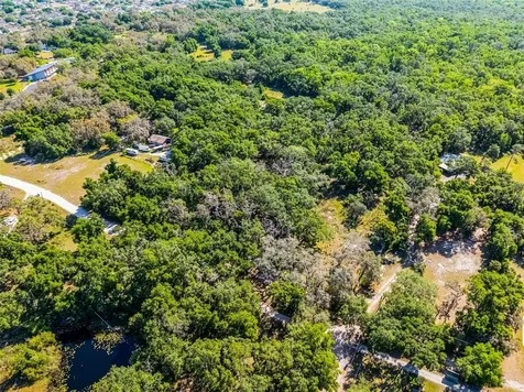 3633 Panther Path Road Lutz FL 33559