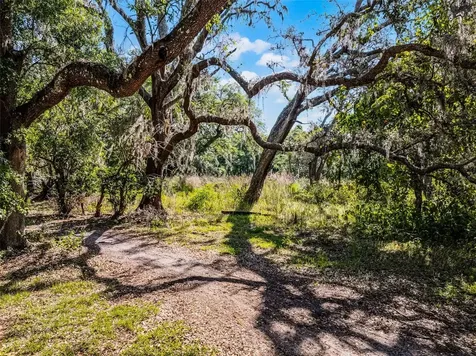 3633 Panther Path Road Lutz FL 33559