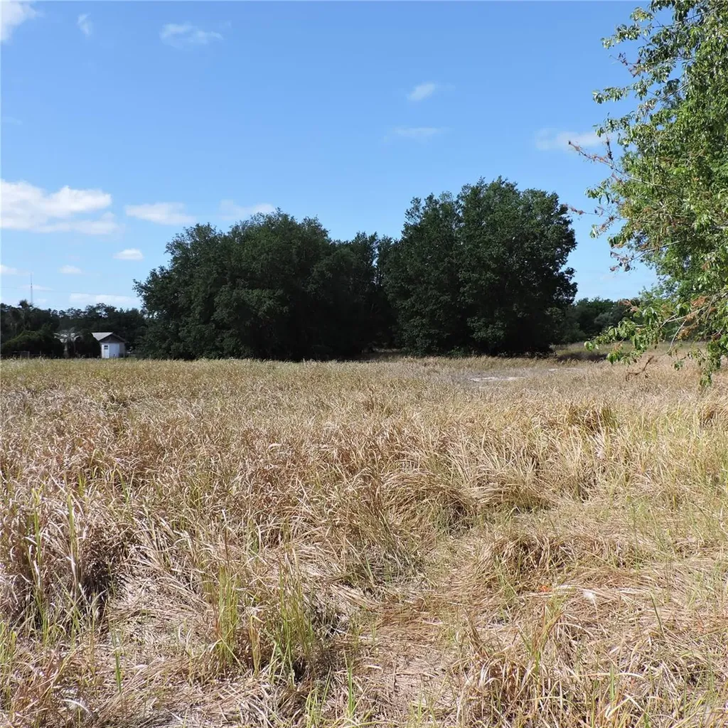 Maricamp Road Ocklawaha FL 32179
