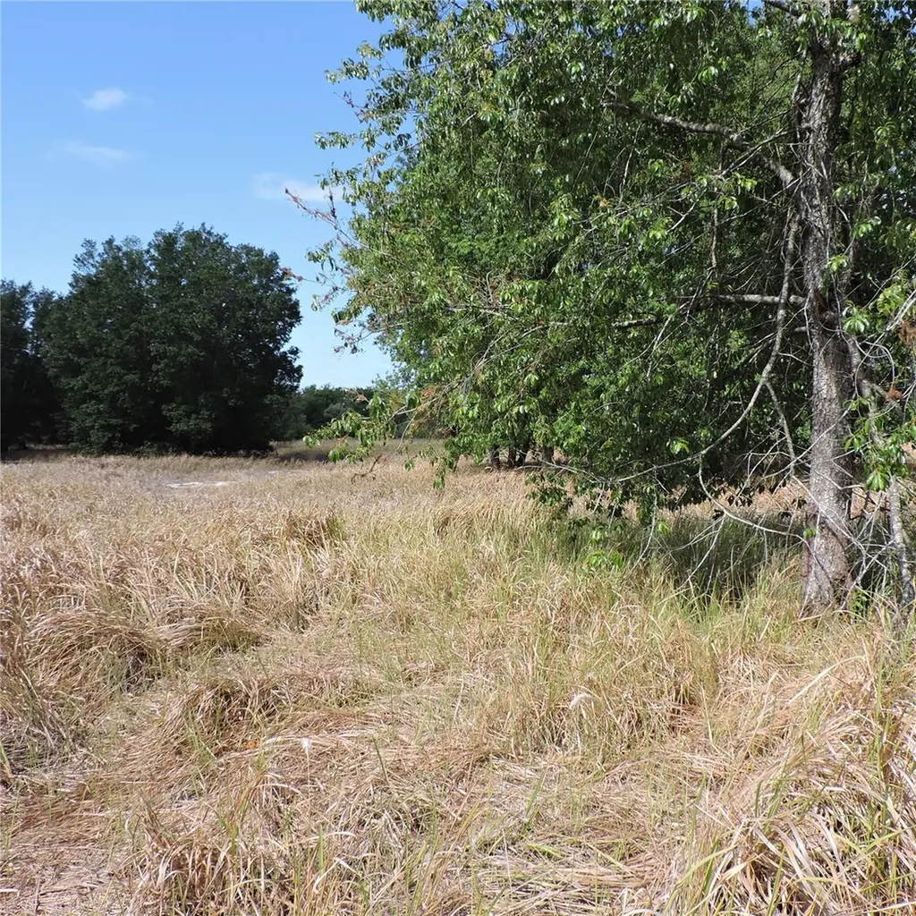Maricamp Road Ocklawaha FL 32179