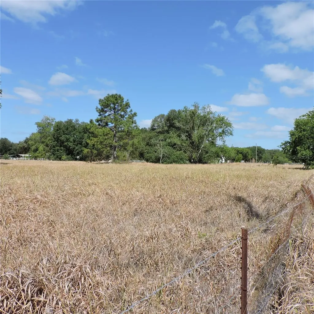 Maricamp Road Ocklawaha FL 32179