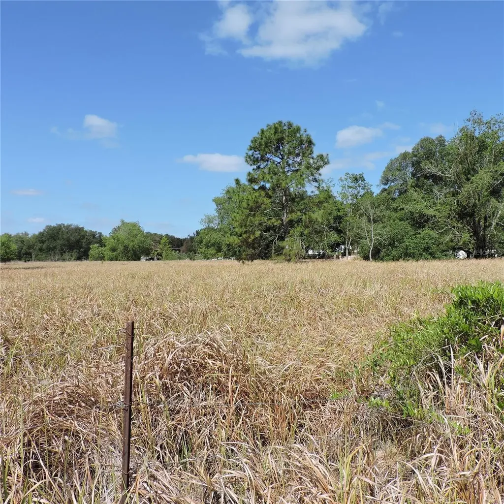 Maricamp Road Ocklawaha FL 32179
