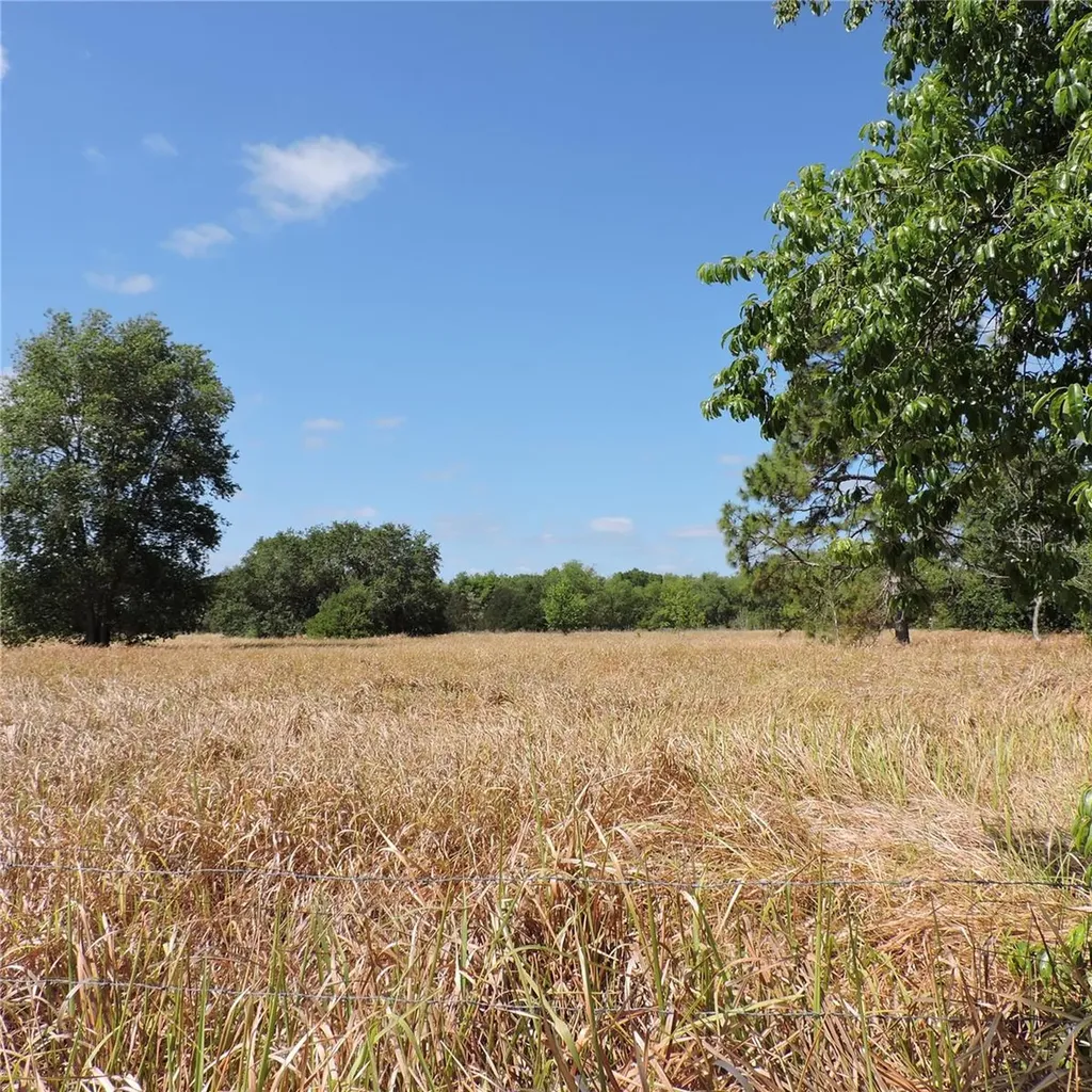 Maricamp Road Ocklawaha FL 32179