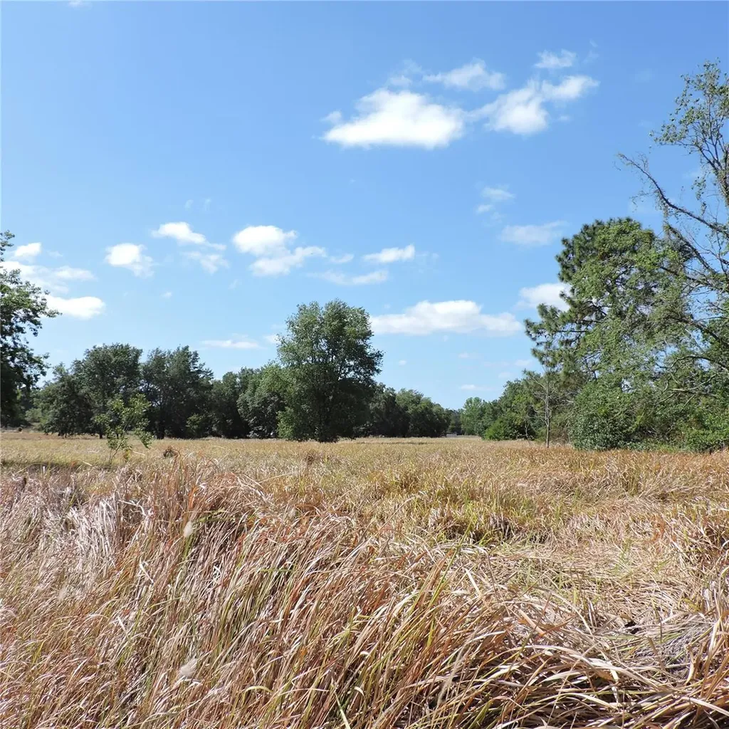 Maricamp Road Ocklawaha FL 32179