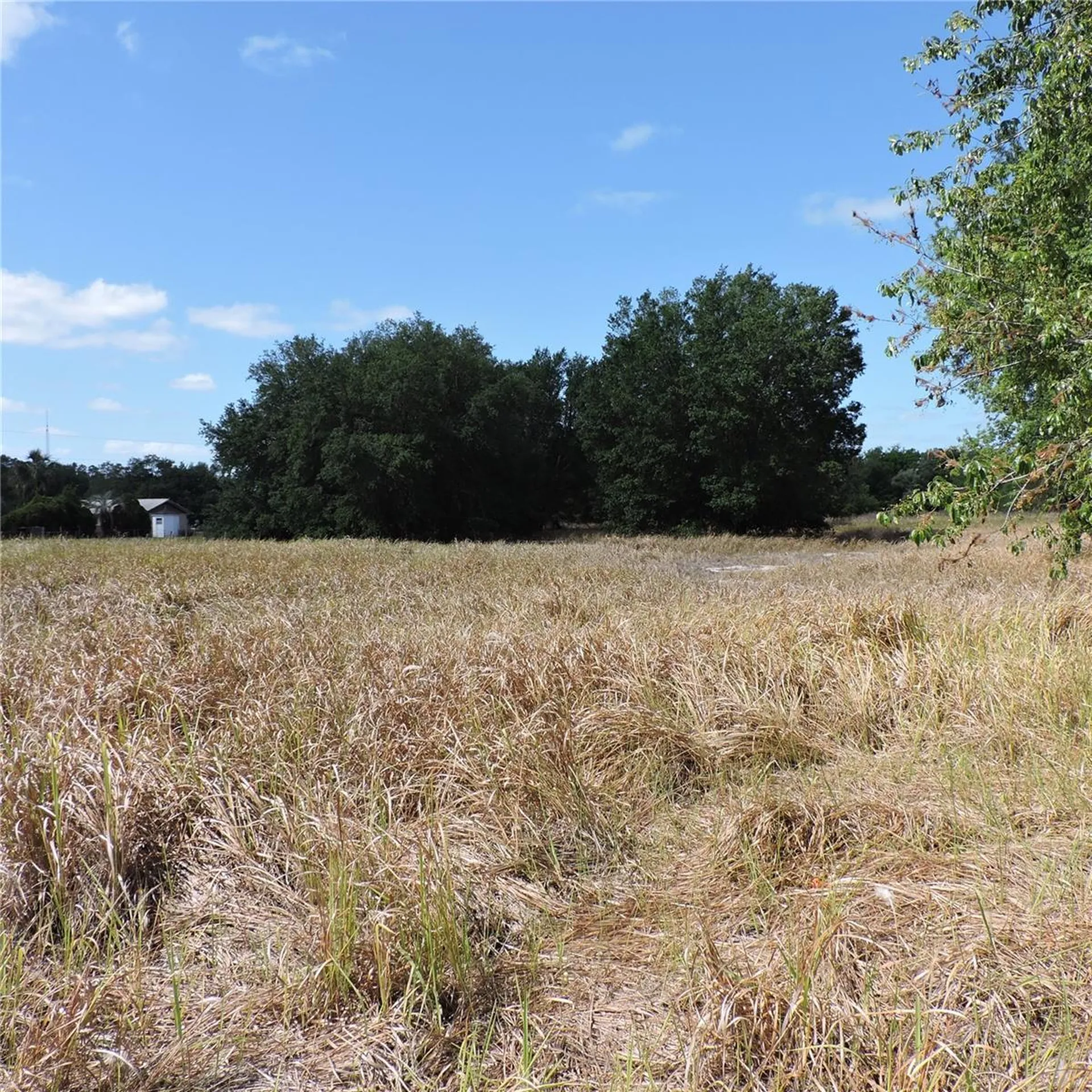 Maricamp Road Ocklawaha FL 32179