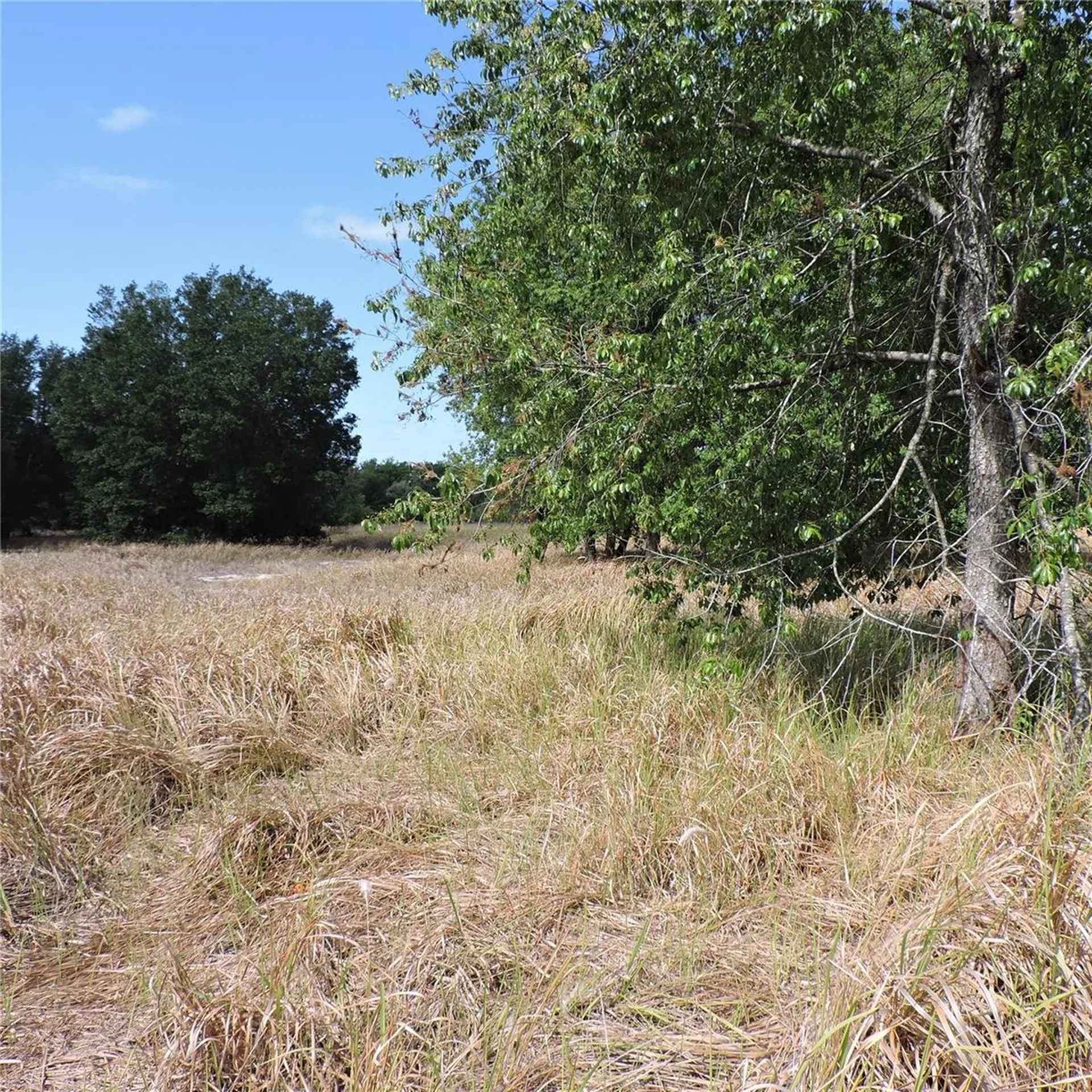 Maricamp Road Ocklawaha FL 32179