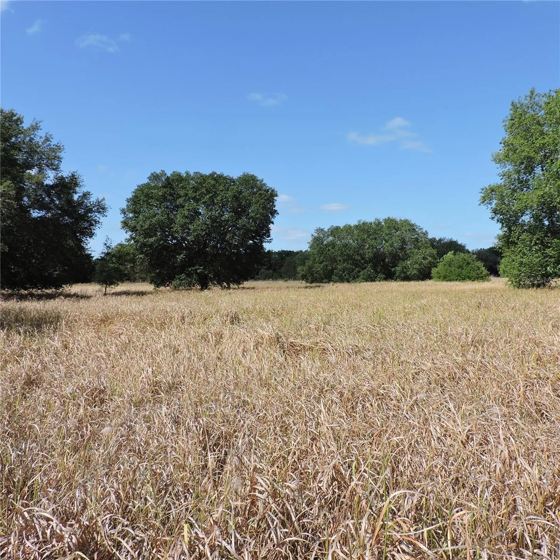 Maricamp Road Ocklawaha FL 32179