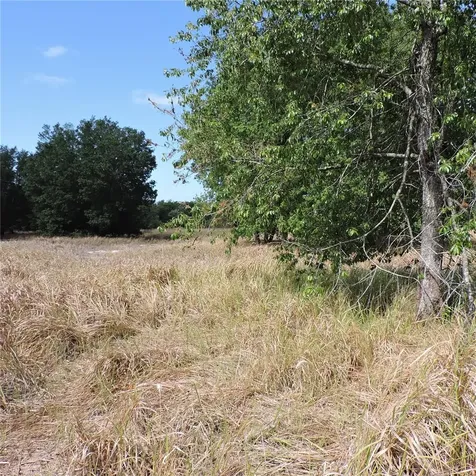 Maricamp Road Ocklawaha FL 32179