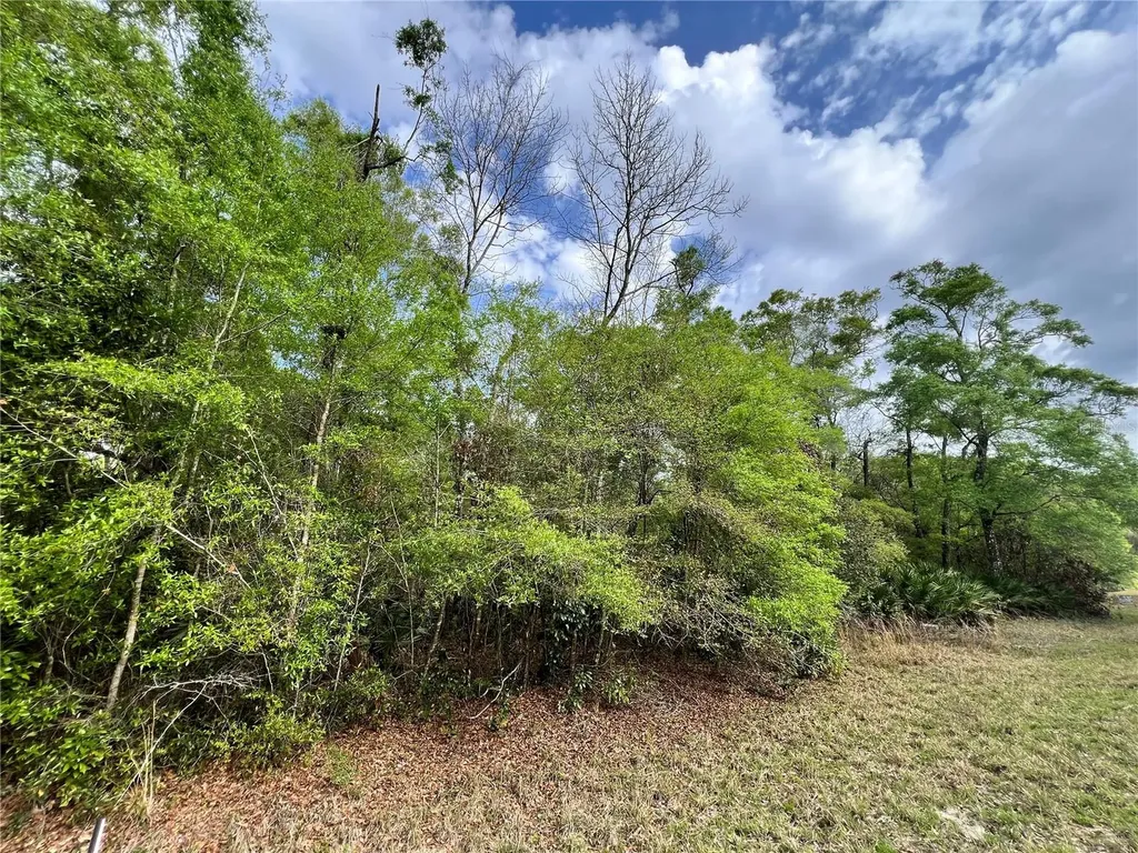 NW 74th Court Chiefland FL 32626