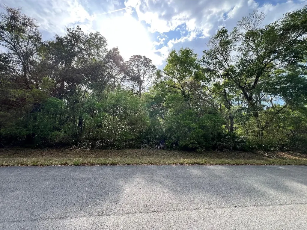 NW 74th Court Chiefland FL 32626
