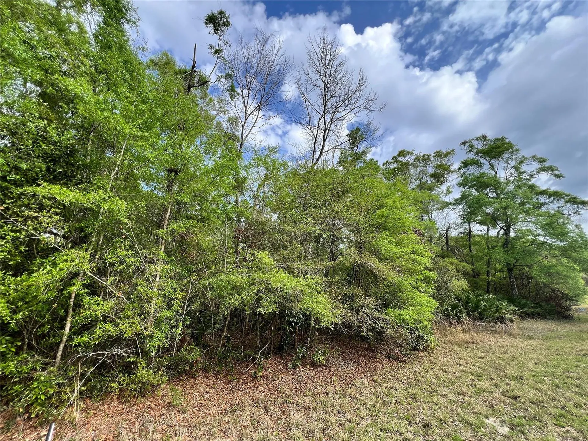 NW 74th Court Chiefland FL 32626