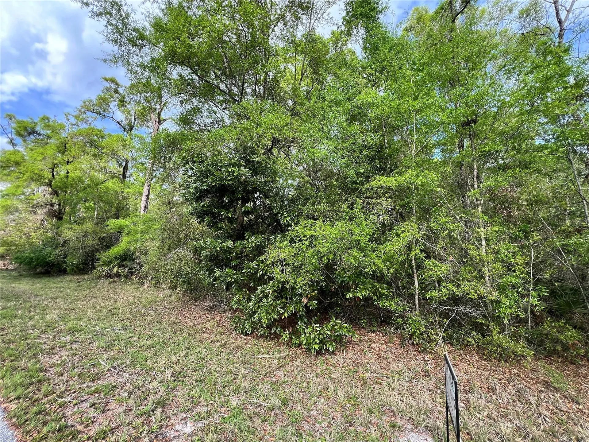 NW 74th Court Chiefland FL 32626