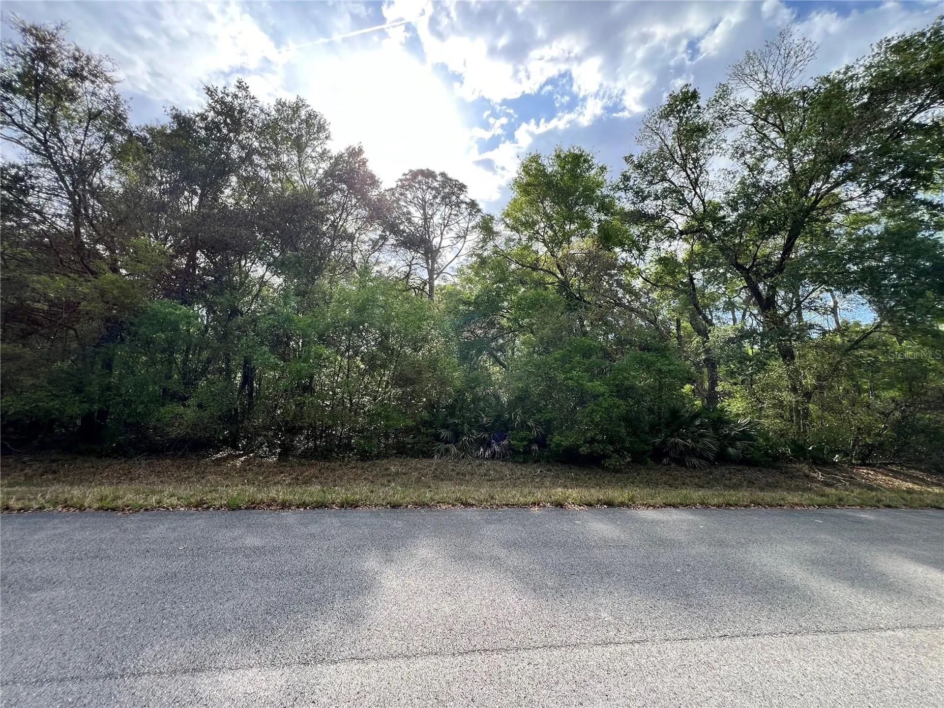 NW 74th Court Chiefland FL 32626