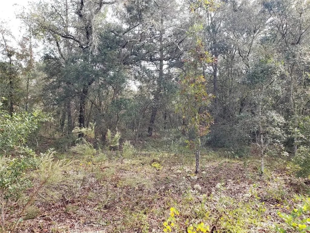 Lot 62 SE 134th Court Dunnellon FL 34431