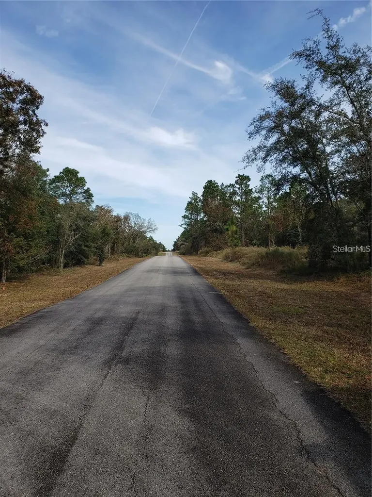 Lot 62 SE 134th Court Dunnellon FL 34431