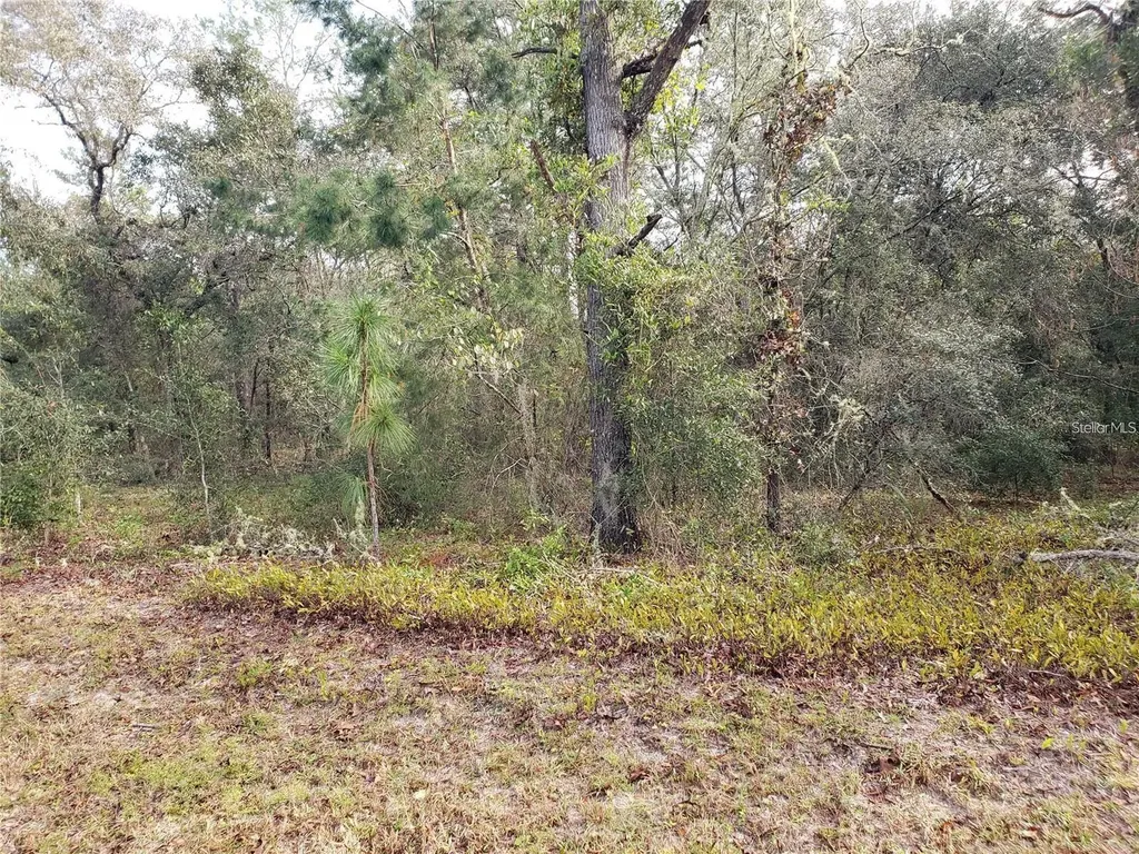 Lot 62 SE 134th Court Dunnellon FL 34431