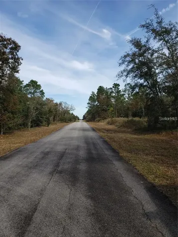 Lot 62 SE 134th Court Dunnellon FL 34431
