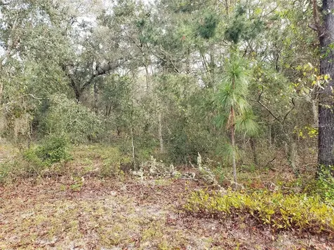 Lot 62 SE 134th Court Dunnellon FL 34431