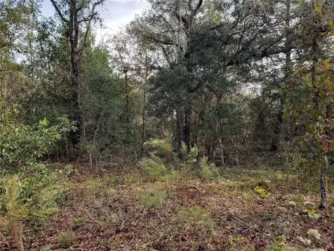 Lot 62 SE 134th Court Dunnellon FL 34431
