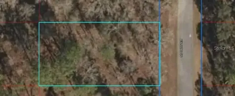 Lot 5 SE 134th Terrace Dunnellon FL 34431