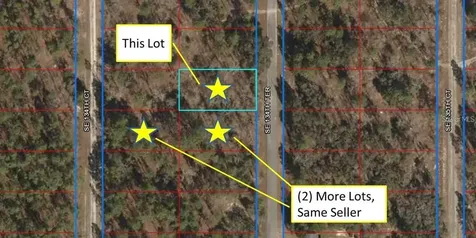Lot 4 SE 134th Terrace Dunnellon FL 34431