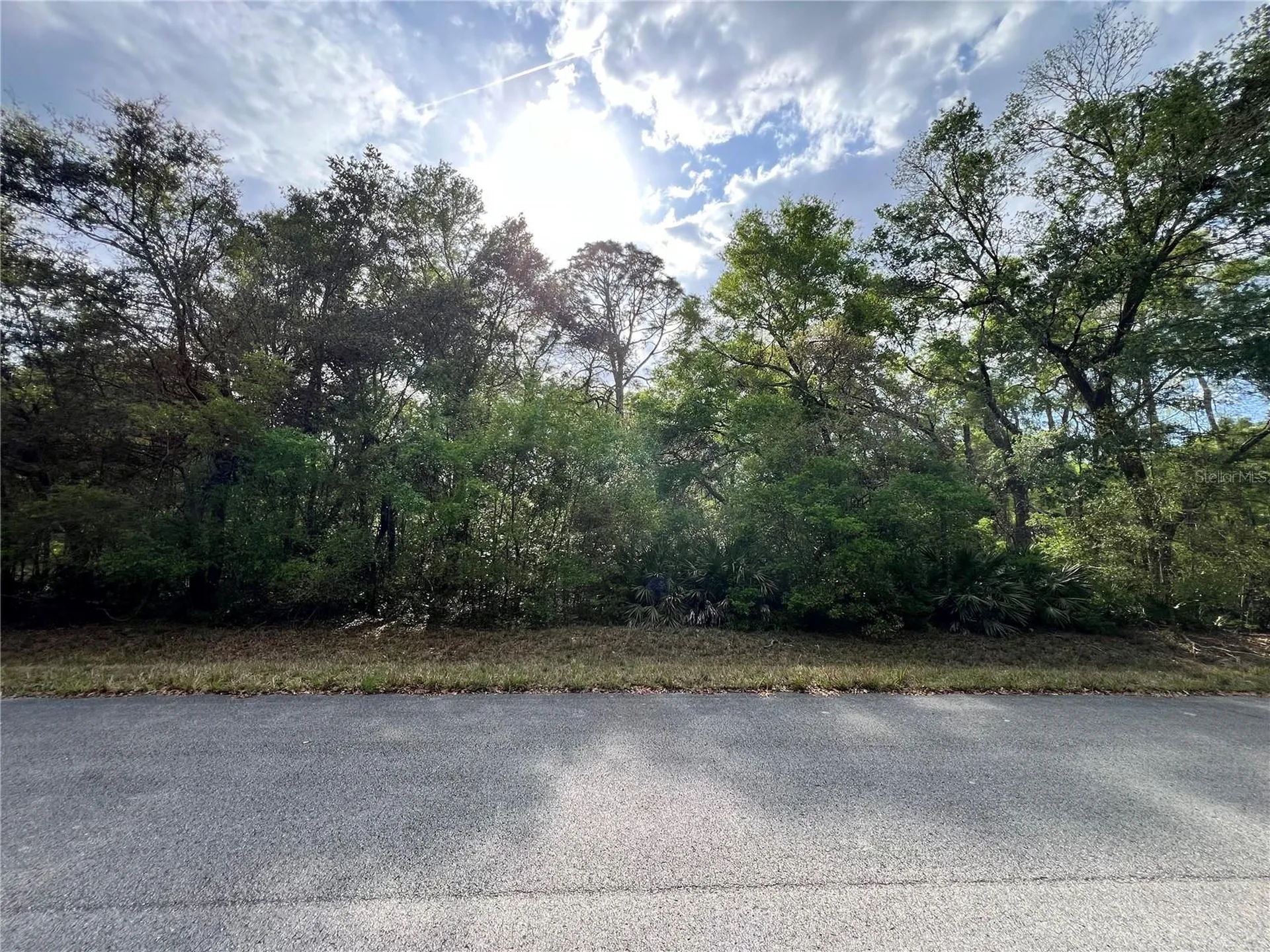 NW 74th Court Chiefland FL 32626