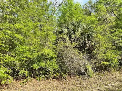 NW 74th Court Chiefland FL 32626