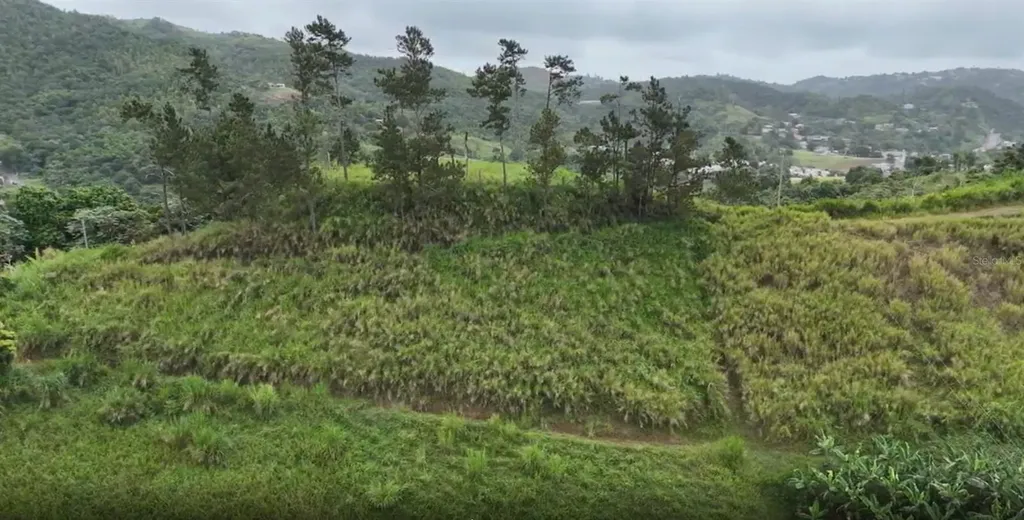 Km 0.2 Int Bo. Helechal Pr 152 Barranquitas PR 00794