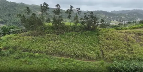 Km 0.2 Int Bo. Helechal Pr 152 Barranquitas PR 00794