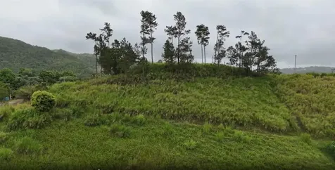 Km 0.2 Int Bo. Helechal Pr 152 Barranquitas PR 00794