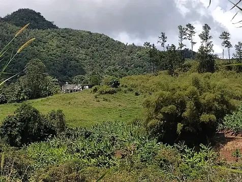 Km 0.2 Int Bo. Helechal Pr 152 Barranquitas PR 00794
