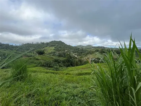 Km 0.2 Int Bo. Helechal Pr 152 Barranquitas PR 00794